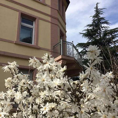 Am Festspielhaus Appartementhaus Dr Vetter 아파트 바덴바덴