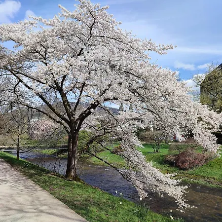 Am Festspielhaus Appartementhaus Dr Vetter 公寓 巴登-巴登