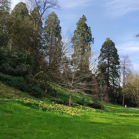 Am Festspielhaus Appartementhaus Dr Vetter 公寓 巴登-巴登