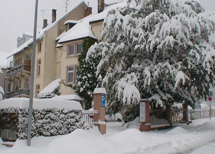 Am Festspielhaus Appartementhaus Dr Vetter 아파트 *