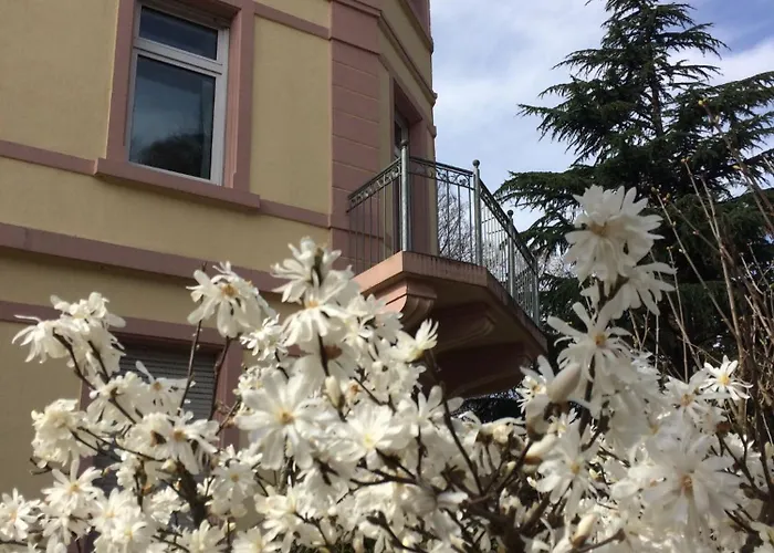 Am Festspielhaus Appartementhaus Dr Vetter 아파트 바덴바덴