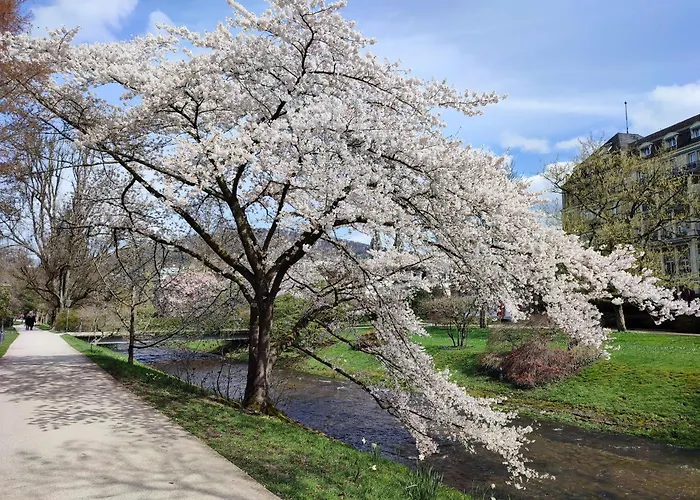 Am Festspielhaus Appartementhaus Dr Vetter 아파트 바덴바덴