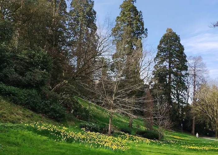 Am Festspielhaus Appartementhaus Dr Vetter 아파트 바덴바덴