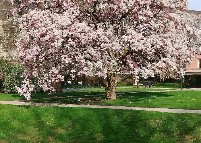 Am Festspielhaus Appartementhaus Dr Vetter 아파트 *